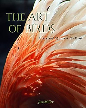 the art of birds grace and motion in the wild 1st edition jim miller 081306676x, 978-0813066769