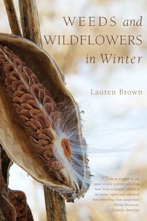 weeds and wildflowers in winter 1st edition lauren brown 1581571771, 978-1581571776