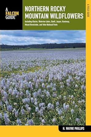 northern rocky mountain wildflowers 1st edition h wayne phillips 0762777664, 978-0762777662