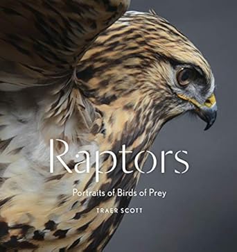 raptors birds of prey portraits of birds of prey 1st edition traer scott 1616895578, 978-1616895570