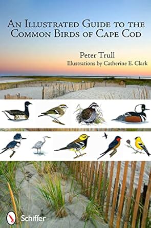 an illustrated guide to the common birds of cape cod 1st edition peter trull 0764338773, 978-0764338779
