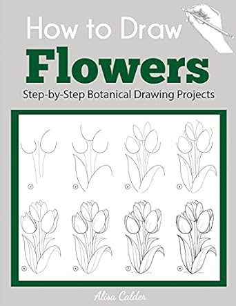 how to draw flowers step by step botanical drawing projects 1st edition alisa calder 1647901219,