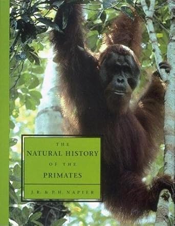 the natural history of the primates 1st edition john russell napier ,p h napier 0262640333, 978-0262640336