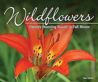 wildflowers natures stunning beauty on display 1st edition stan tekiela 1591937884, 978-1591937883