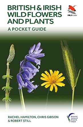 british and irish wild flowers and plants a pocket guide 1st edition rachel hamilton ,chris gibson ,robert