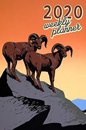 2020 weekly planner 6 x9 usa bighorn sheep organizer schedule 2020 monthly weekly planner for national park