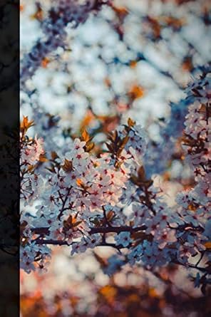 artsy journal college ruled notebooks to write in for women cherry blossom 6 x 9 1st edition writing