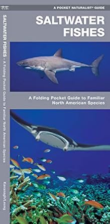 saltwater fishes a folding pocket guide to familiar north american species 1st edition james kavanagh