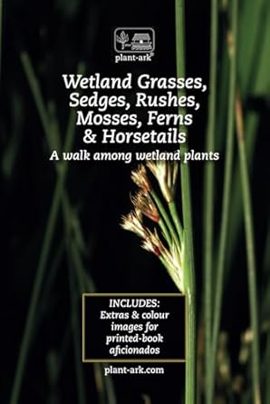 wetland grasses sedges rushes mosses ferns and horsetails take a walk among wetland plants 1st edition ita