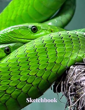 sketchbook premium cover green snakes cover sketchbook for doodling sketching typography drawing 8 5x11 extra