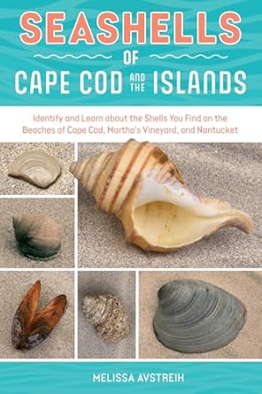 seashells of cape cod and the islands identify and learn about the shells you find on the beaches of cape cod