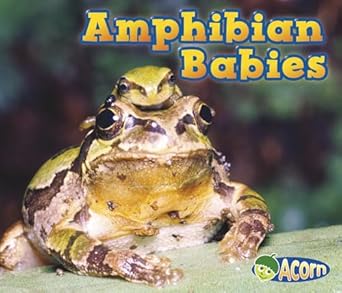 amphibian babies 1st edition catherine veitch 1432974912, 978-1432974916