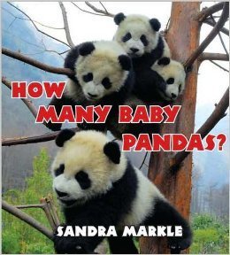 how many baby pandas / scholastic book 1st edition sandra markle 0802720706, 978-0802720702