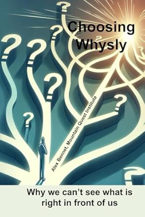 choosing whysly why we cant see what is right in front of us 1st edition dr alex bennet wv 1968006079,