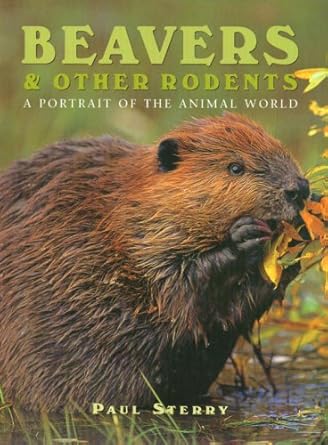 beavers and other rodents 1st edition paul sterry 1577170776, 978-1577170778