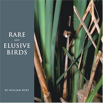 rare and elusive birds of north america 1st edition william burt 0789306387, 978-0789306388