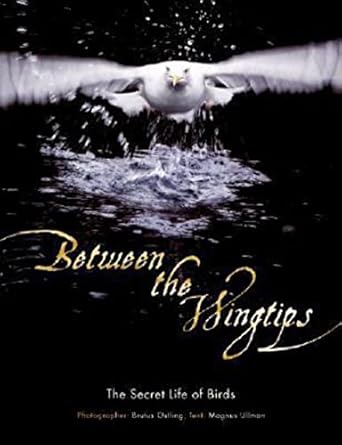 between the wingtips the secret life of birds 1st edition brutus ostling ,magnus ullman 0061136859,