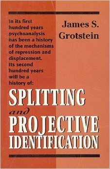 splitting and projective identification 1st edition james s grotstein 1568210906, 978-1568210902