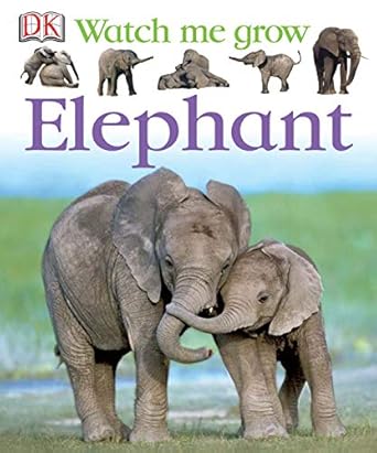 elephant 1st edition lisa magloff 1405308443, 978-1405308441