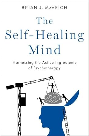 the self healing mind harnessing the active ingredients of psychotherapy 1st edition brian j mcveigh