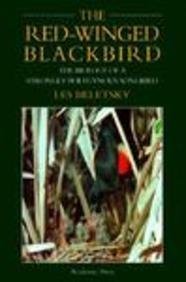 the red winged blackbird the biology of a strongly polygynous songbird 1st edition les beletsky 0120847450,