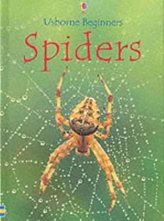 spiders 1st edition rebecca gilpin 0746047576, 978-0746047576