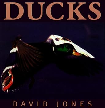 ducks 1st edition david jones 1551107813, 978-1551107813
