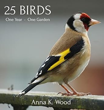 25 birds 1st edition anna k wood 1739139100, 978-1739139100