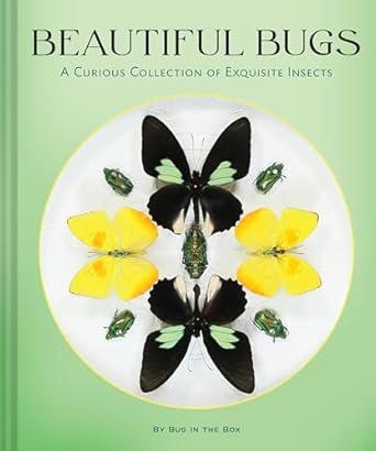 beautiful bugs a curious collection of exquisite insects 1st edition bug in the box 1797243047, 978-1797243047