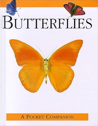 butterflies 1st edition judith milidge 0785809791, 978-0785809791