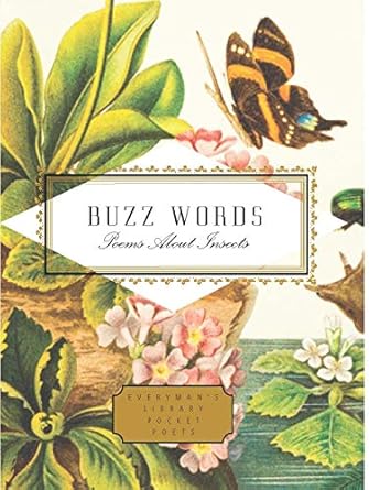 buzz words poems about insects 1st edition kimiko hahn ,howard schechter 1841598216, 978-1841598215