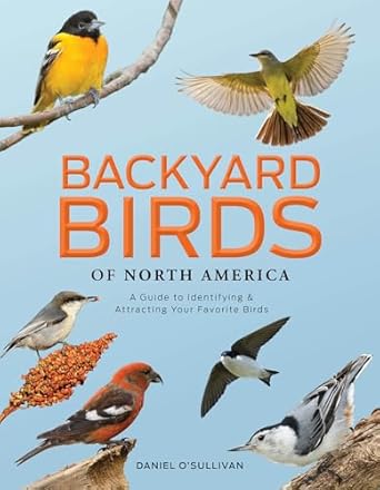backyard birds of north america a guide to identifying and attracting your favorite birds 1st edition daniel