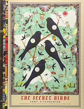 the secret birds 1st edition tony fitzpatrick ,helen macdonald 1940430763, 978-1940430768