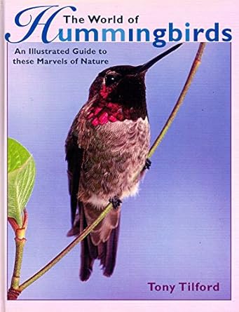 the world of hummingbirds 1st edition tony tilford 0517161702, 978-0517161708