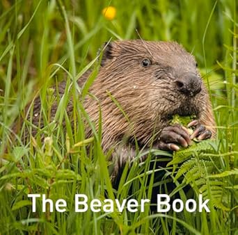 the beaver book 1st edition hugh warwick 1914079213, 978-1914079214