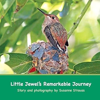 little jewels remarkable journey 1st edition susanne strauss 1734226706, 978-1734226706