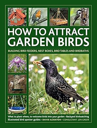 how to attract garden birds what to plant bird feeders bird tables birdbaths building nest boxes backyard