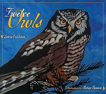 twelve owls 1st edition laura erickson ,betsy bowen 0816677581, 978-0816677580