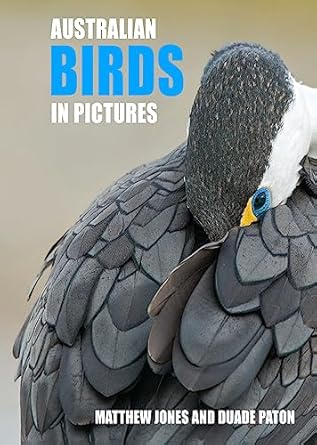 australian birds in pictures 1st edition matthew jones ,duade paton 1921073179, 978-1921073175