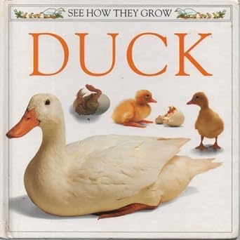 duck 1st edition barrie watts ,mary ling 0863185452, 978-0863185458
