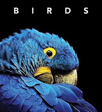 birds 1st edition simon papps 1925546691, 978-1925546699