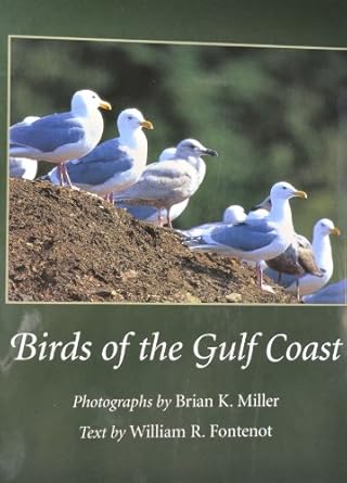 birds of the gulf coast 1st edition brian k miller ,william r fontenot 0807127248, 978-0807127247