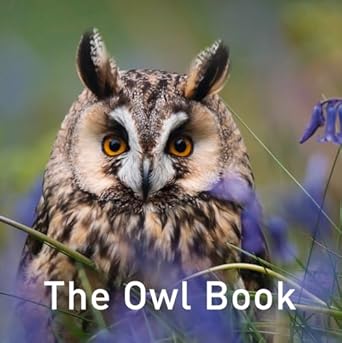 the owl book 1st edition russ jane 1912050420, 978-1912050420