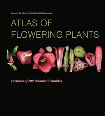 atlas of flowering plants visual studies of 200 deconstructed botanical families 1st edition ingeborg m
