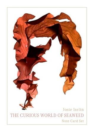 the curious world of seaweed note card box 1st edition josie iselin 1597144932, 978-1597144933