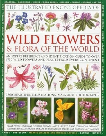 illustrated encyclopedia of wild flowers and flora of the world 1st edition michael lavelle ,martin walters