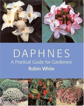daphnes a practical guide for gardeners 1st edition robin white 088192752x, 978-0881927528