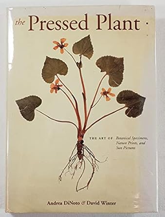 the pressed plant 1st edition david dinoto, andrea winter 1556709366, 978-1556709364