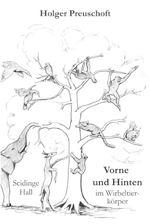 vorne und hinten im wirbeltierkorper das vorderteil die mitte und auch das hintere ende des wirbeltierkorpers