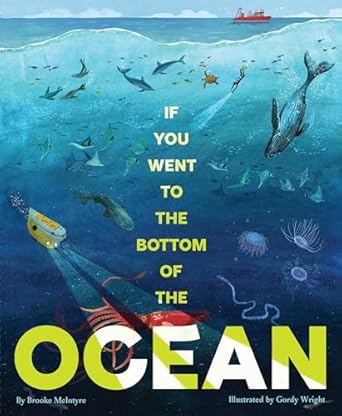 if you went to the bottom of the ocean 1st edition brooke mcintyre ,gordy wright 1797226517, 978-1797226514